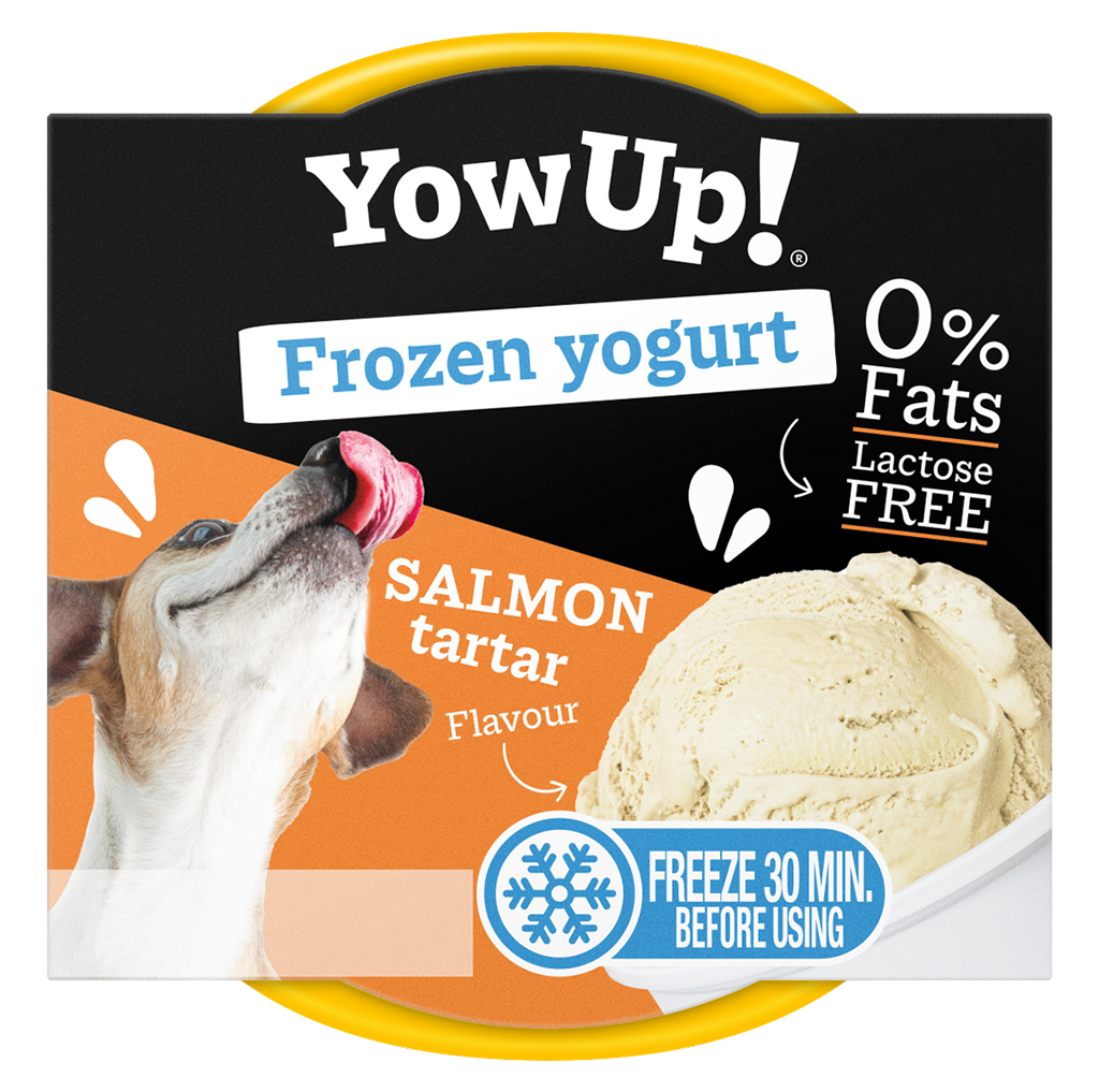 YowUp Frozen Yoghurt